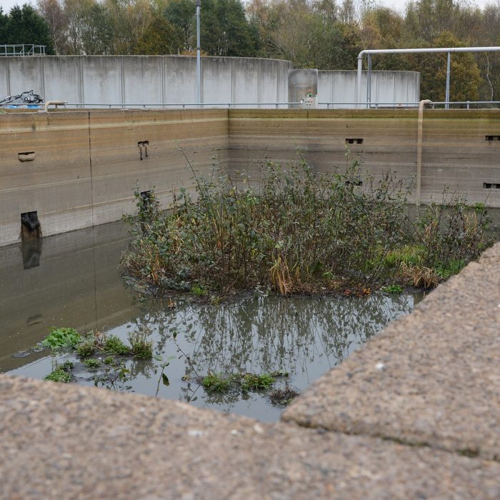 Sewer-and-Drain-Cleaning-4